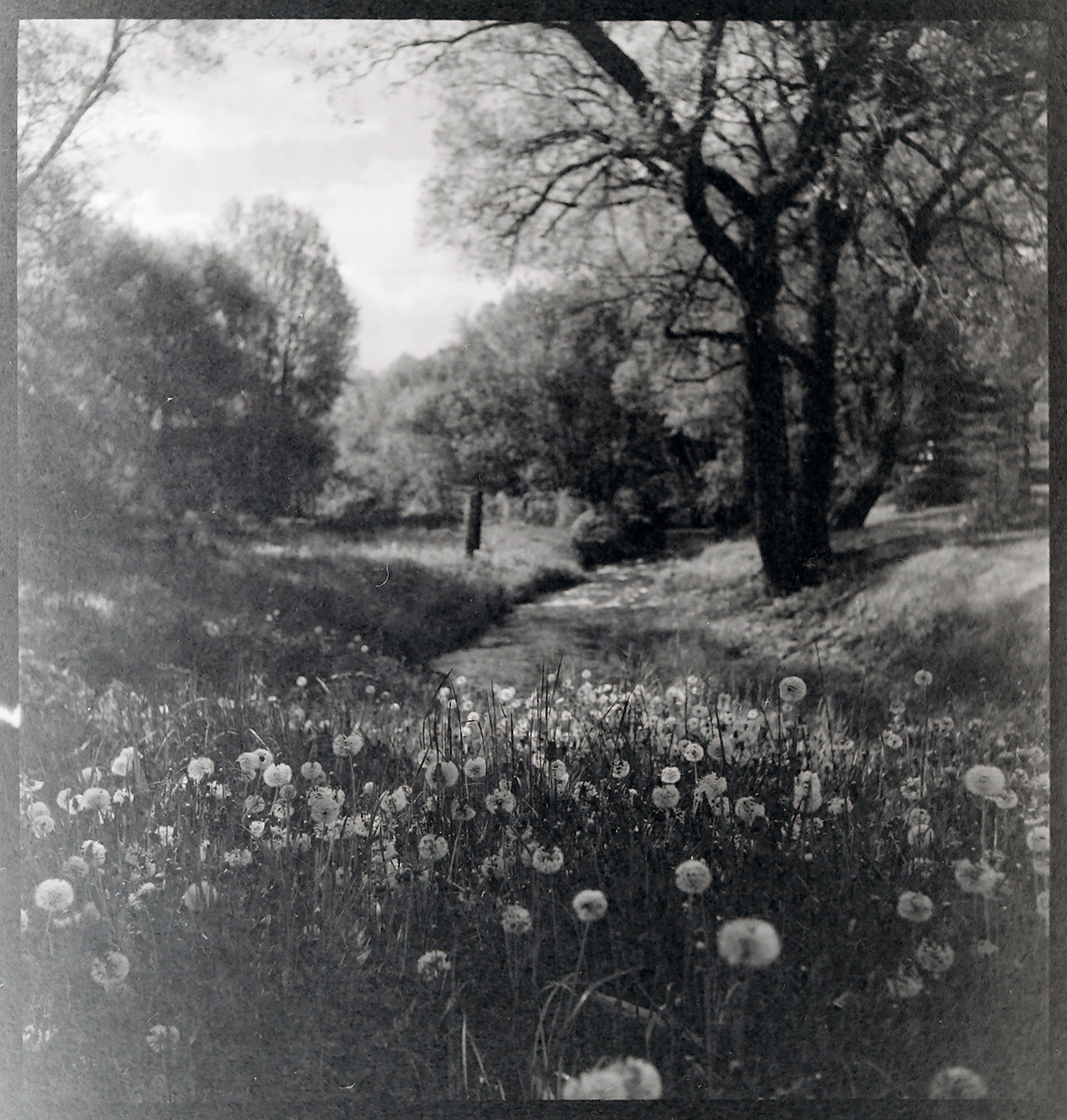 Hotel Sipox　敷地の裏手にある川
