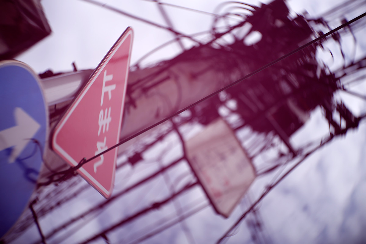 New Petzval 58 Bokeh Control Art Lens に、ピンクカラーオリジナル絞りプレートを付けて撮影