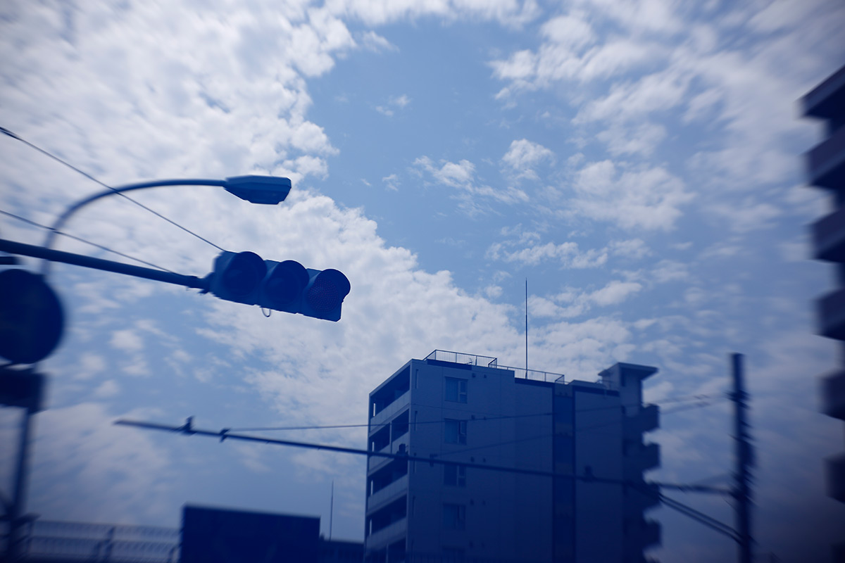 New Petzval 58 Bokeh Control Art Lens に、ピンクカラーオリジナル絞りプレートを付けて撮影