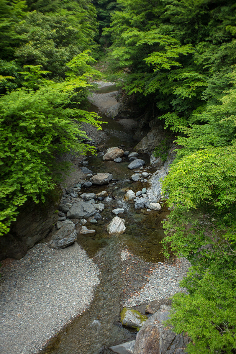 五家荘 樅木の吊橋