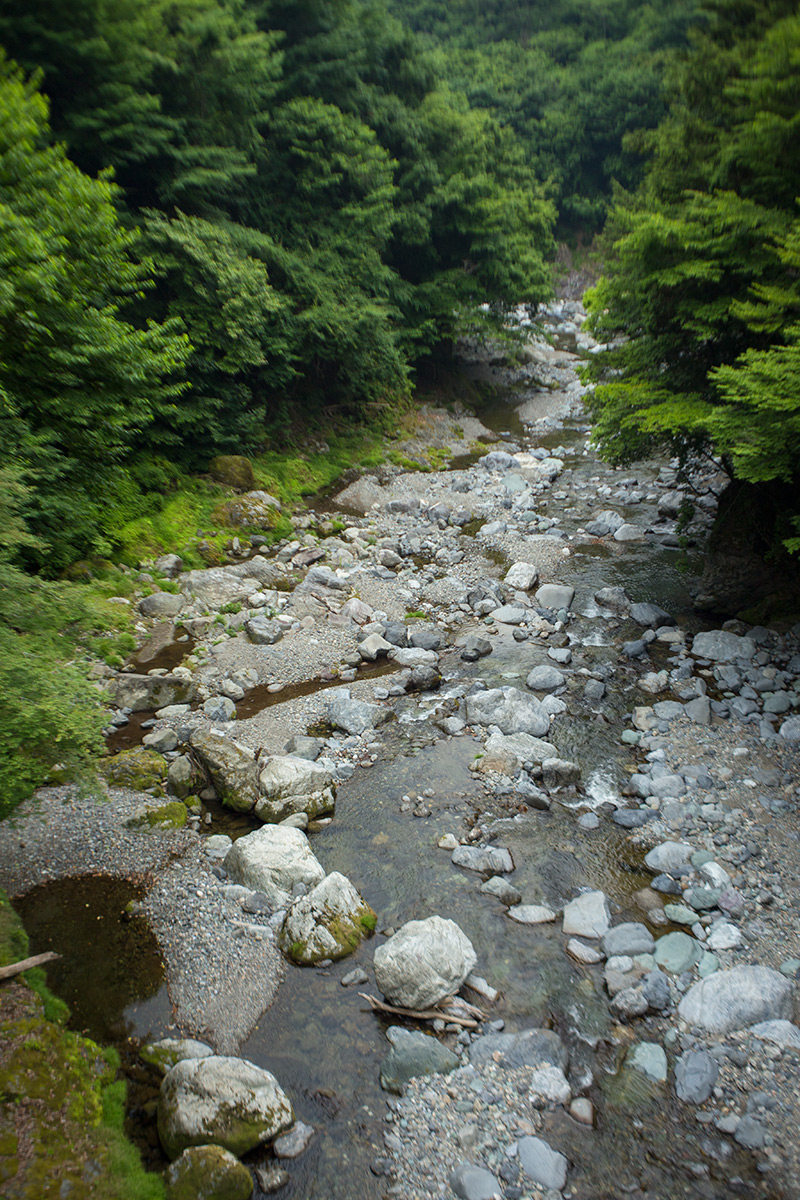 五家荘 樅木の吊橋
