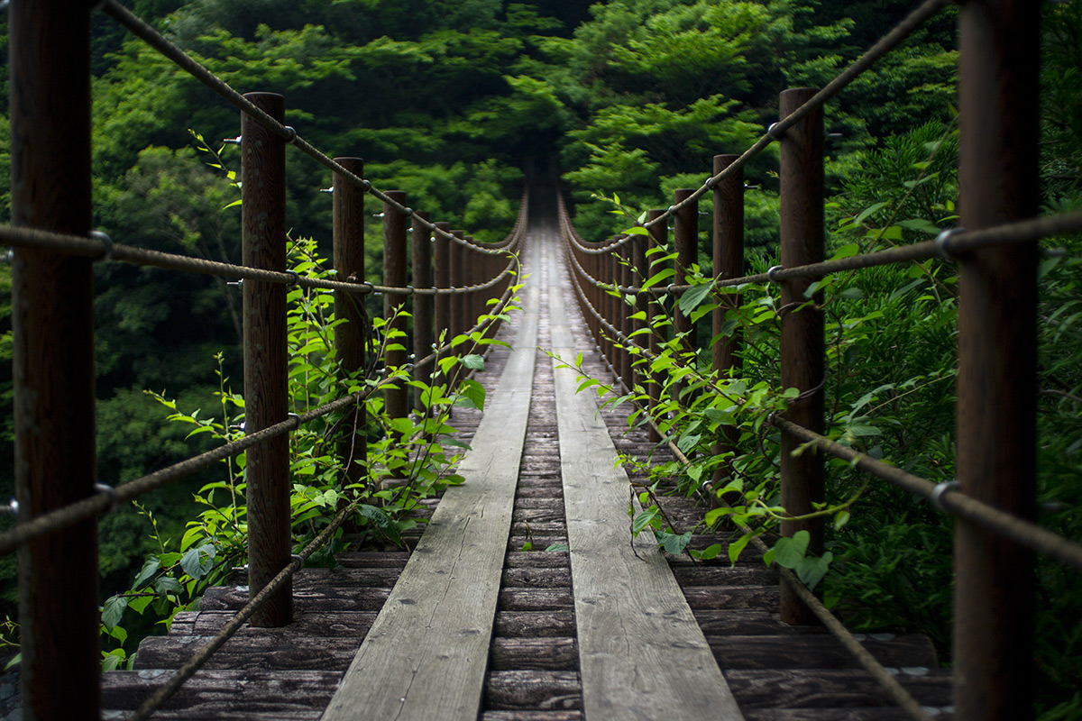 五家荘 樅木の吊橋