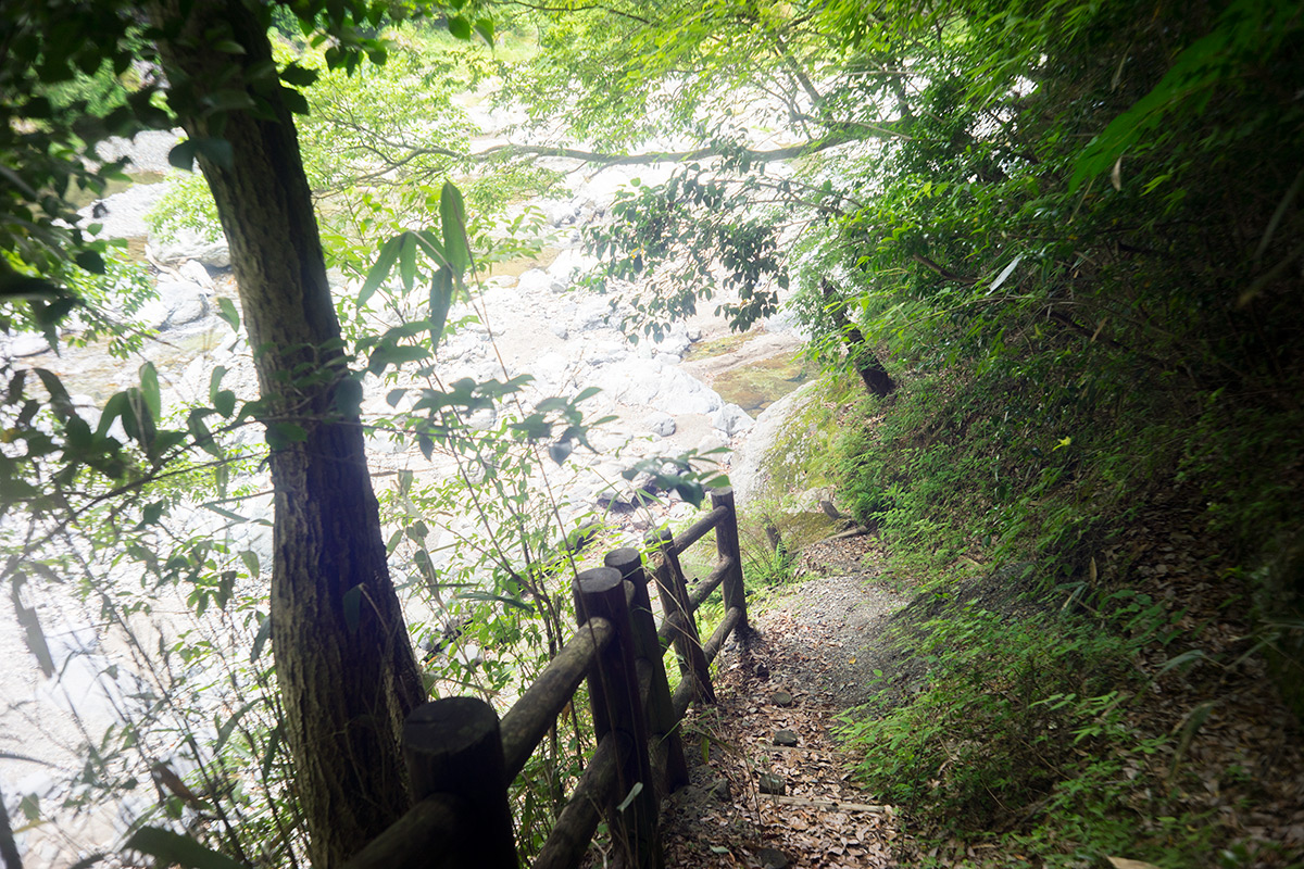 五家荘 樅木の吊橋