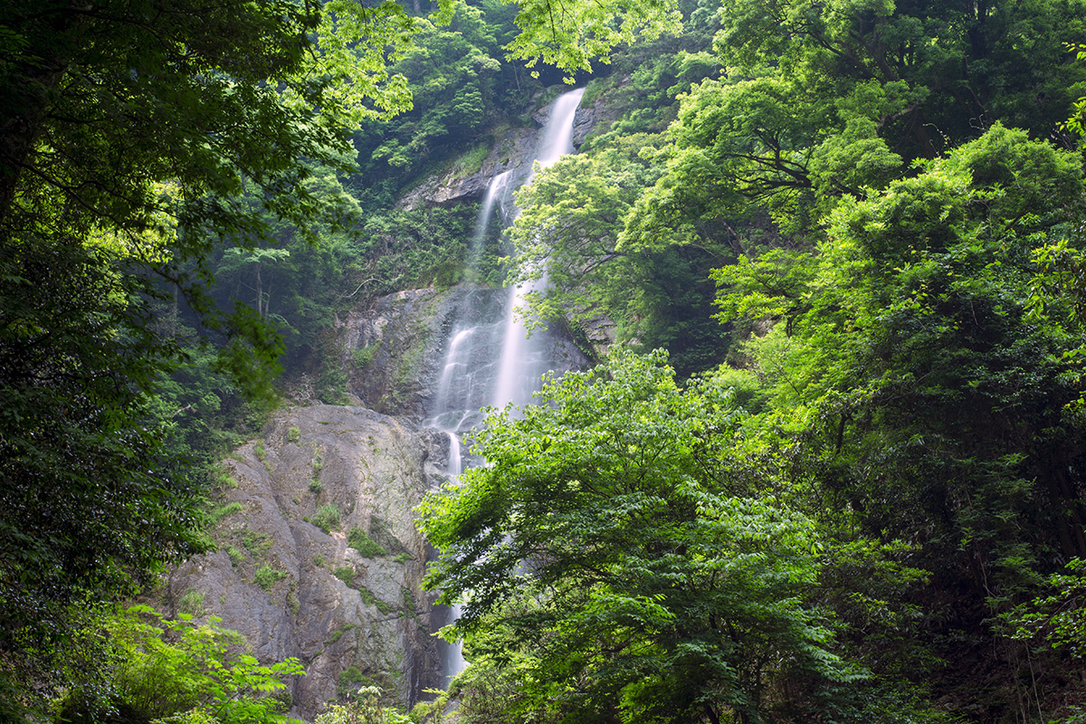 せんだん轟の滝