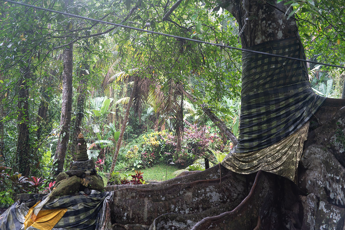 ゴア・ガジャ寺院（Goa Gajah）敷地内