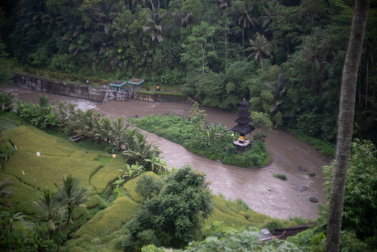 ロクシタンマンゴーツリースパ（Mango Tree Spa By L'Occitane）、スパルームからの風景