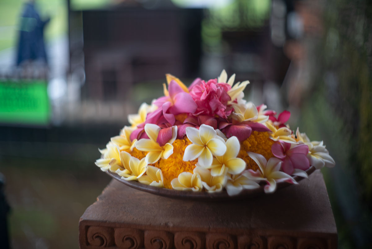 タマンアユン寺院（Pura Taman Ayun）に飾らているフランジパニ