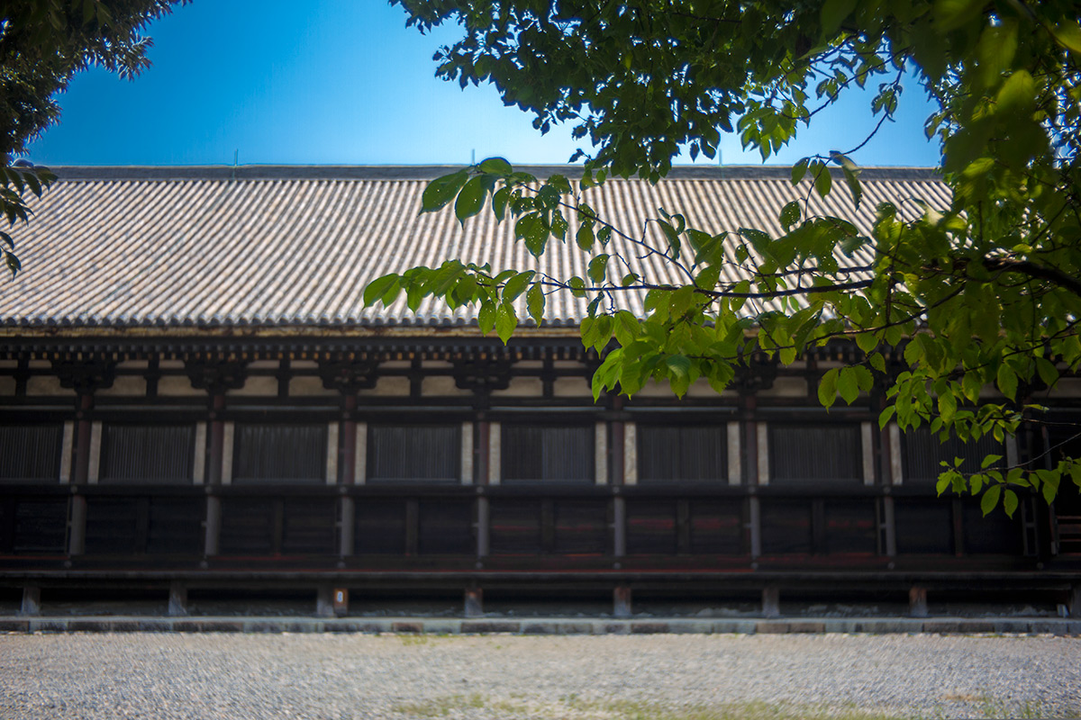 2015年8月3日、京都、P.ANGENIEUX PARIS F.35 1:2,5 RETROFOCUS TYPE R1