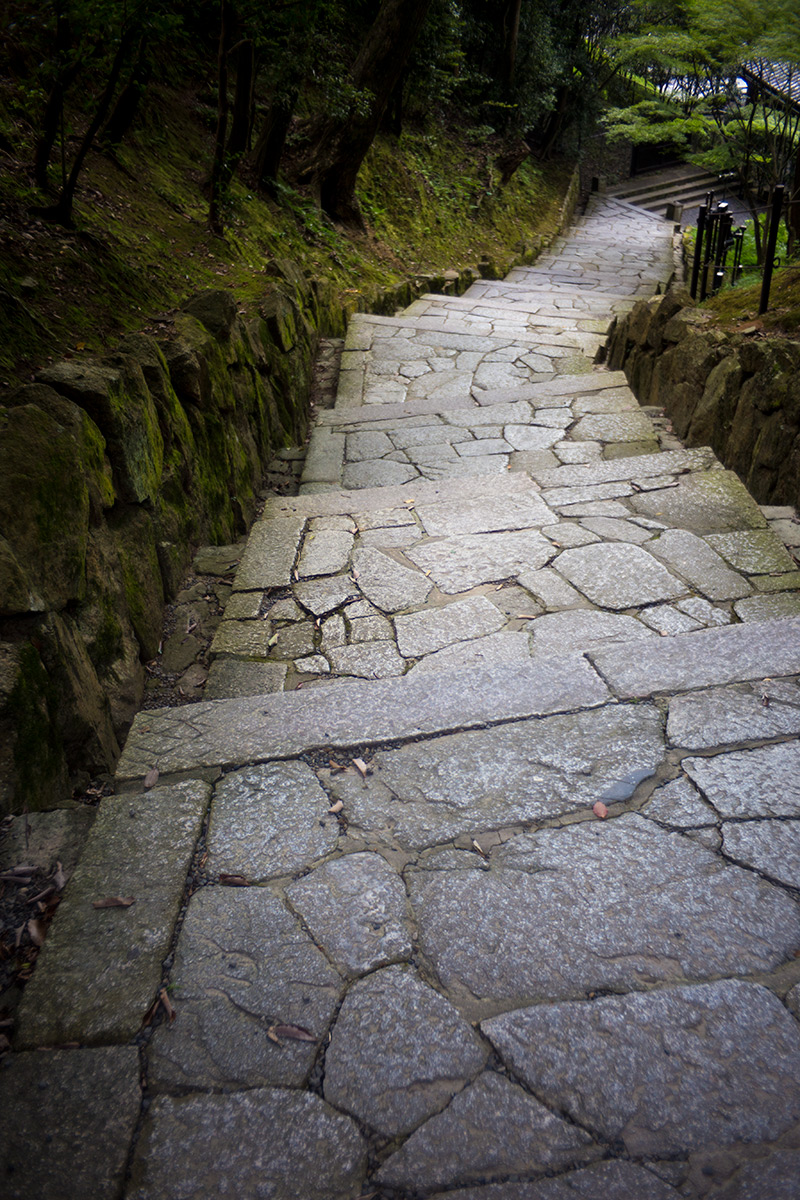 2015年8月3日、京都、P.ANGENIEUX PARIS F.35 1:2,5 RETROFOCUS TYPE R1