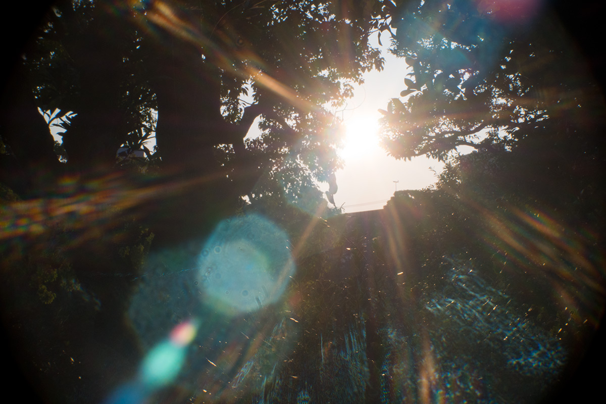 旧安田庭園 w/ SOM BERTHIOT PARIS CINOR 1:1.5 F=20 - 2015-10-24