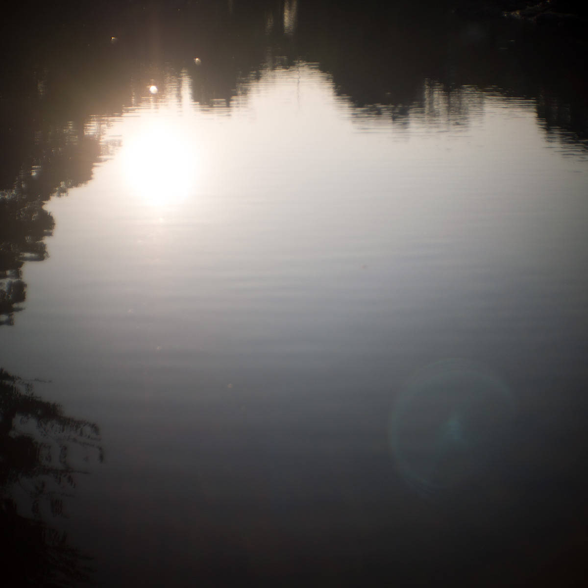 2015年10月24日、旧安田庭園、SOM BERTHIOT PARIS CINOR 1:1.5 F=20