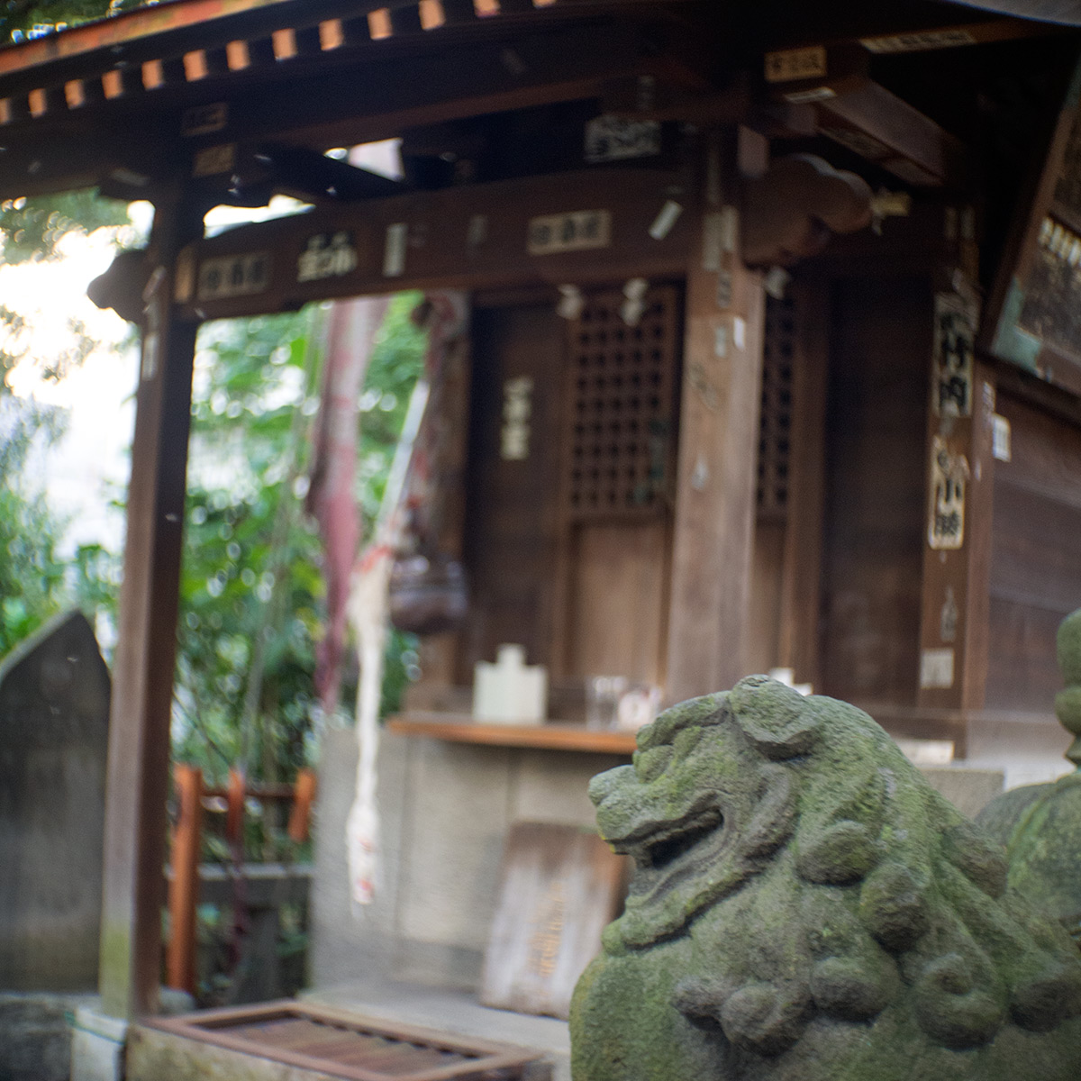 2015年10月24日、旧安田庭園、SOM BERTHIOT PARIS CINOR 1:1.5 F=20