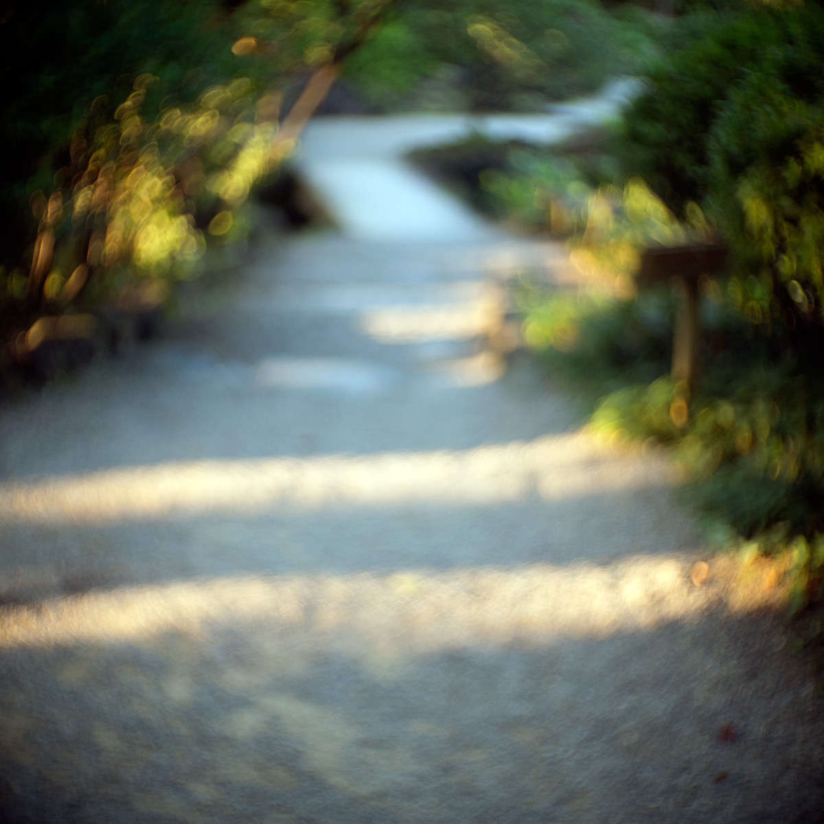 2015年10月24日、旧安田庭園、SOM BERTHIOT PARIS CINOR 1:1.5 F=20