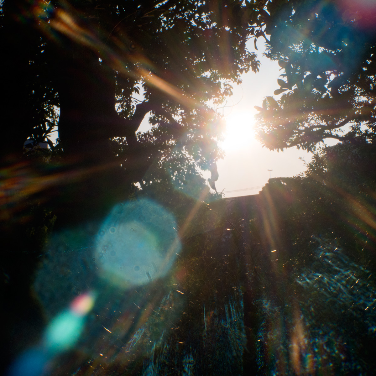 2015年10月24日、旧安田庭園、SOM BERTHIOT PARIS CINOR 1:1.5 F=20