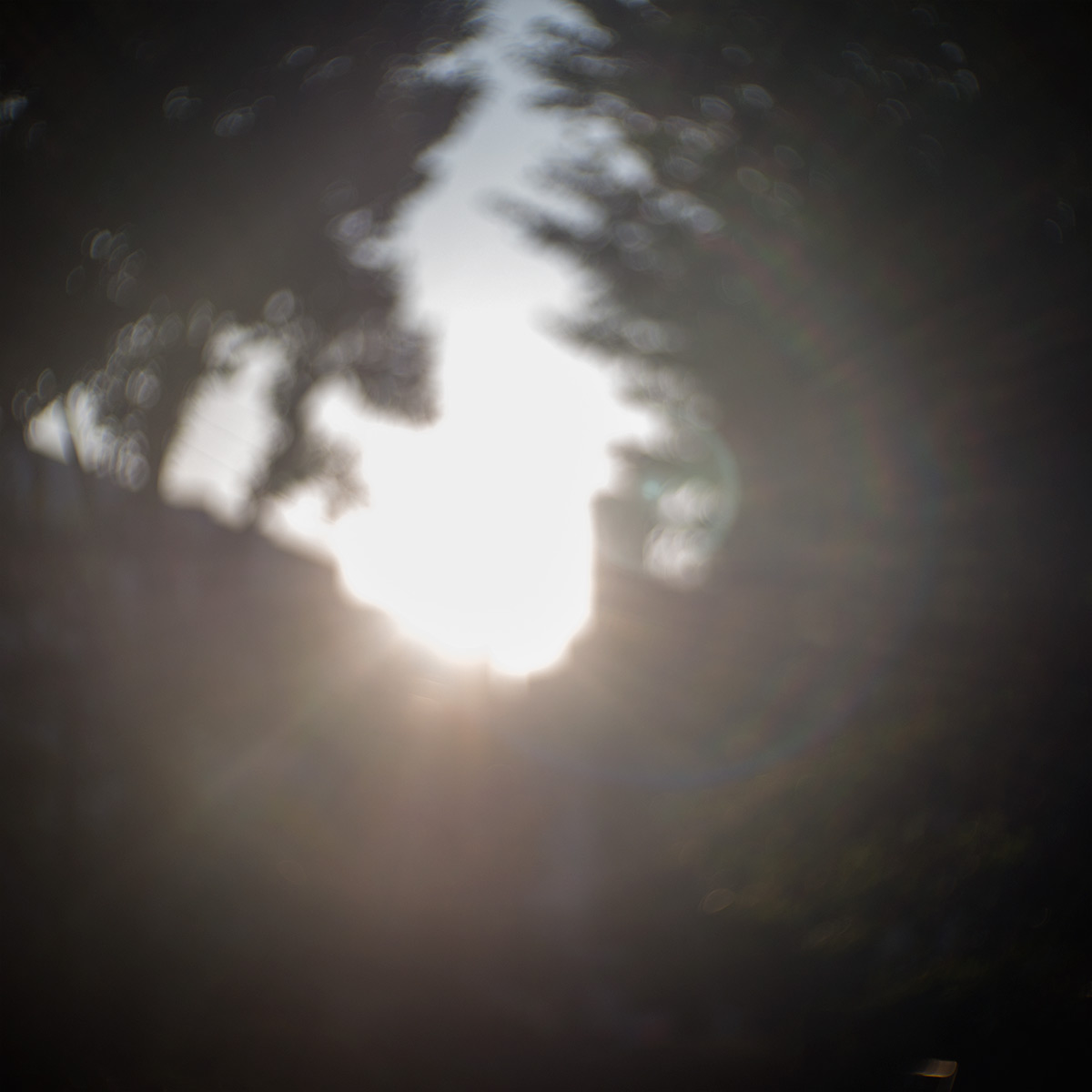 2015年10月24日、旧安田庭園、SOM BERTHIOT PARIS CINOR 1:1.5 F=20