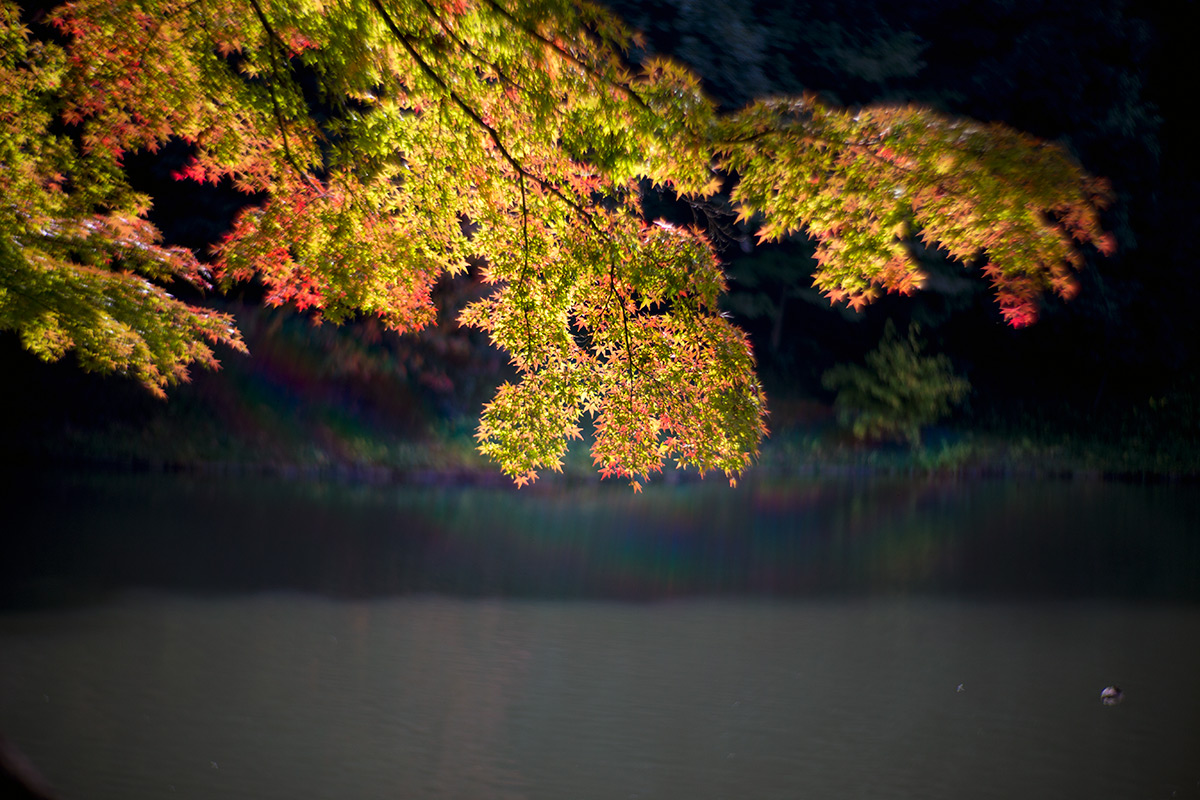 小石川後楽園 taken with NEW Petzval 1:2.2/85mm