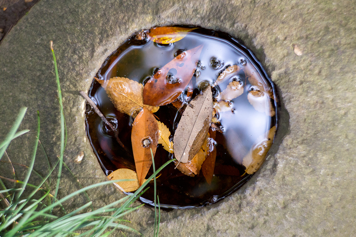 小石川後楽園 taken with NEW Petzval 1:2.2/85mm