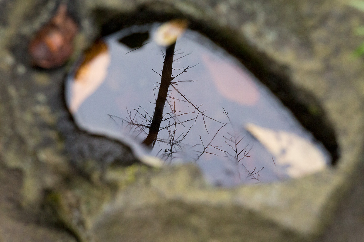 小石川後楽園 taken with NEW Petzval 1:2.2/85mm