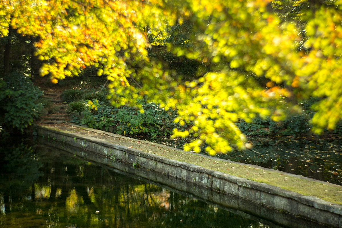 小石川後楽園 taken with NEW Petzval 1:2.2/85mm