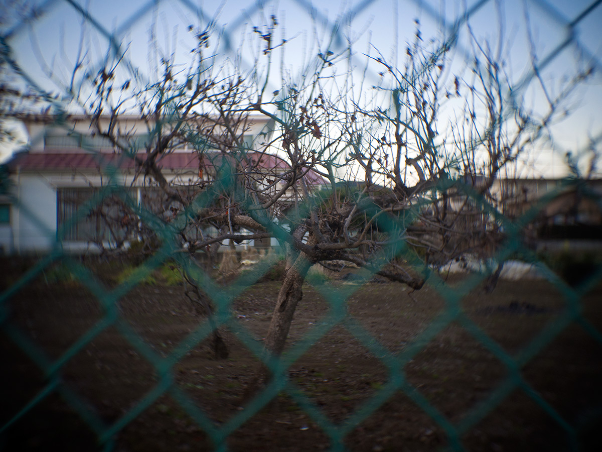 2016年1月2日, 神奈川県 愛甲郡 愛川町, ROSS.LONDON 1in F.1.9 CINE LENS.