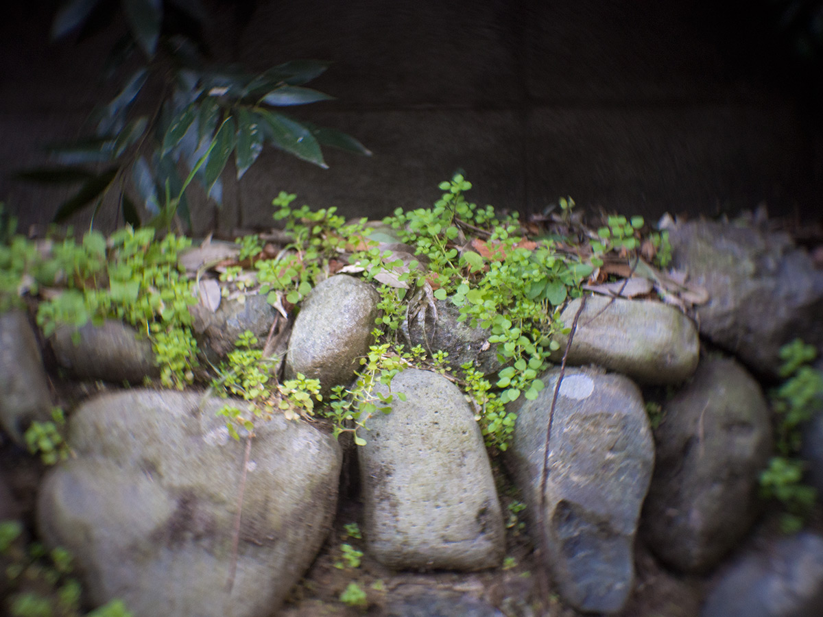 2016年1月2日, 神奈川県 愛甲郡 愛川町, ROSS.LONDON 1in F.1.9 CINE LENS.