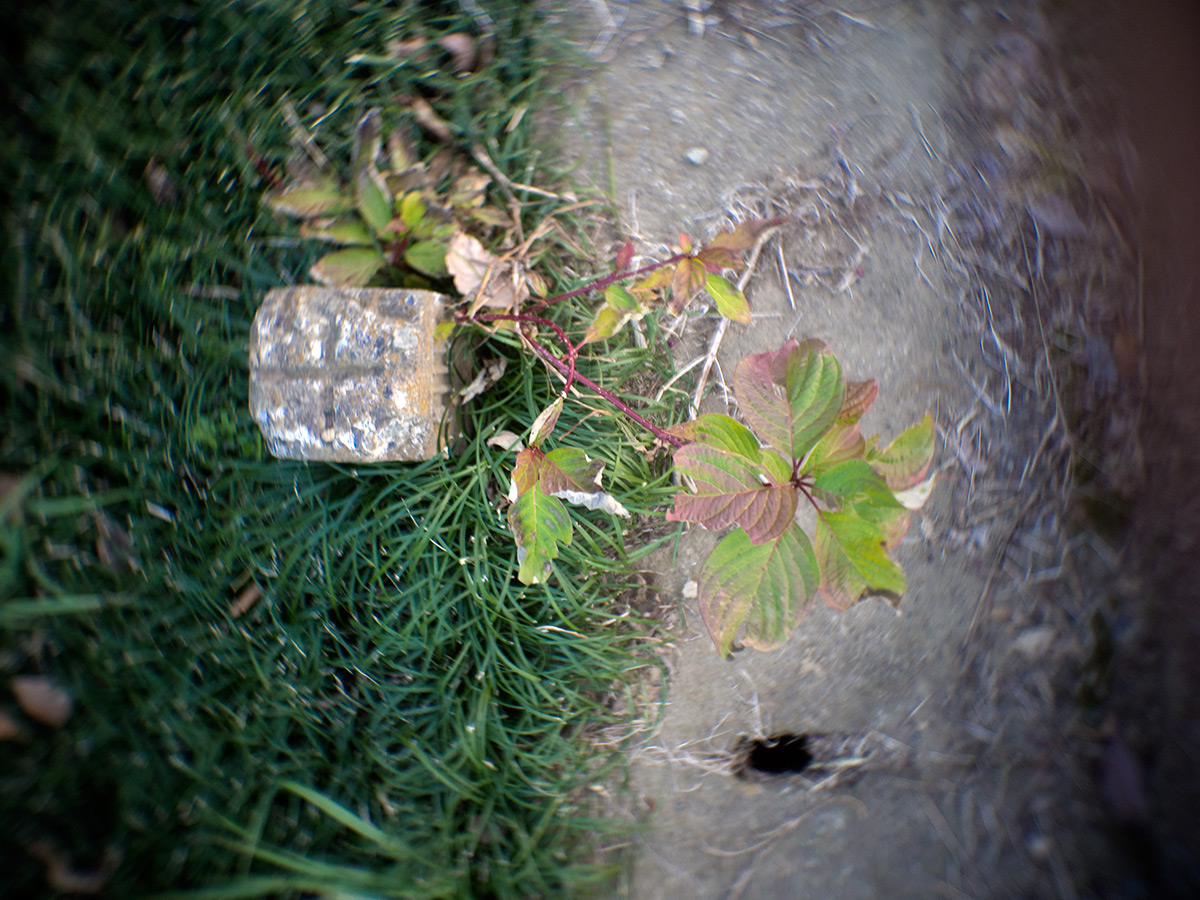 2016年1月2日, 神奈川県 愛甲郡 愛川町, ROSS.LONDON 1in F.1.9 CINE LENS.