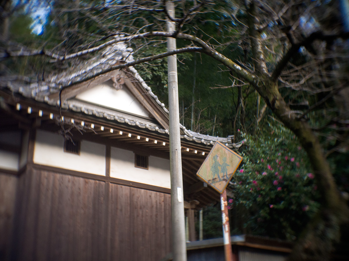 2016年1月2日, 神奈川県 愛甲郡 愛川町, ROSS.LONDON 1in F.1.9 CINE LENS.