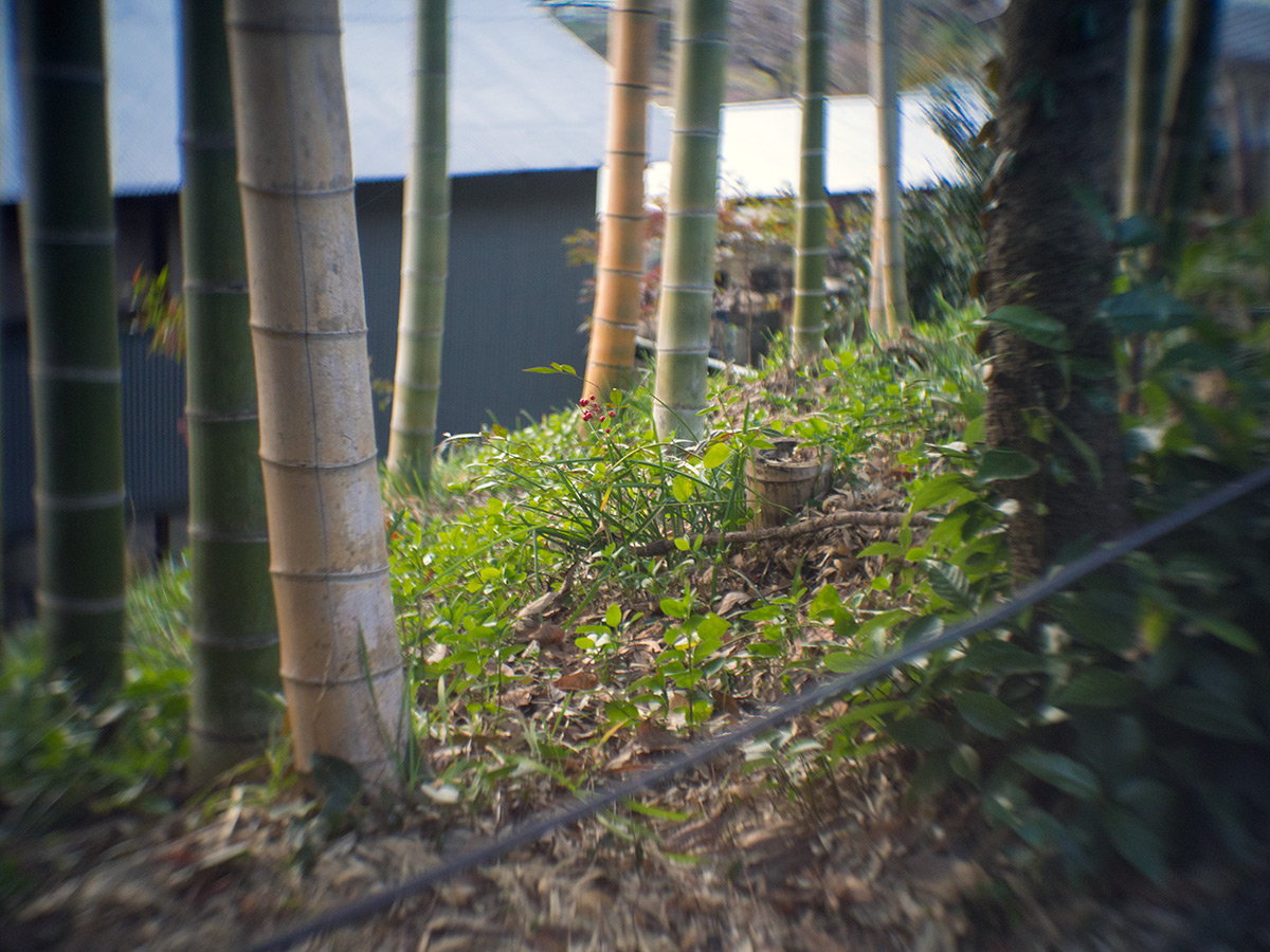 2016年1月2日, 神奈川県 愛甲郡 愛川町, ROSS.LONDON 1in F.1.9 CINE LENS.