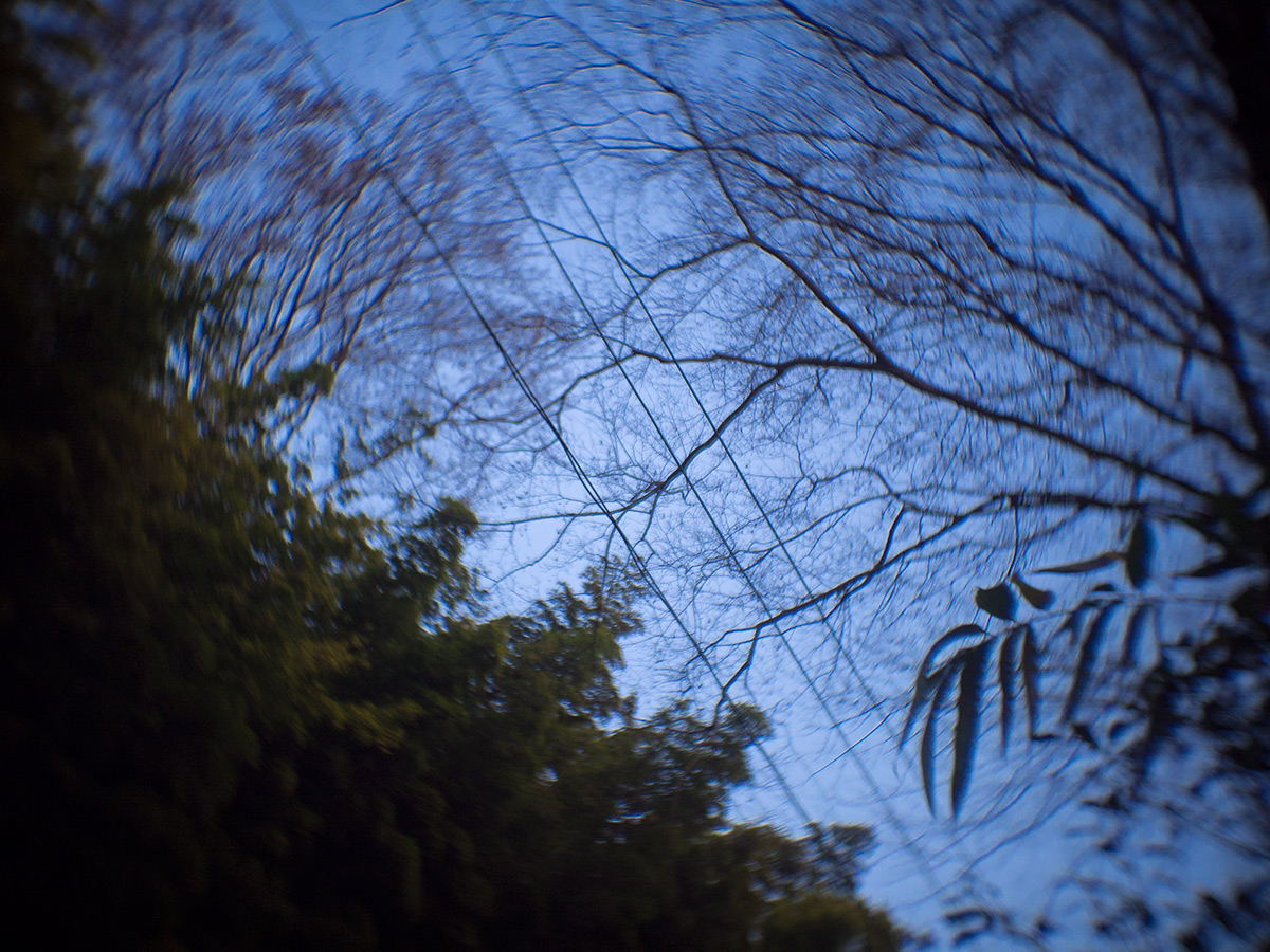 2016年1月2日, 神奈川県 愛甲郡 愛川町, ROSS.LONDON 1in F.1.9 CINE LENS.