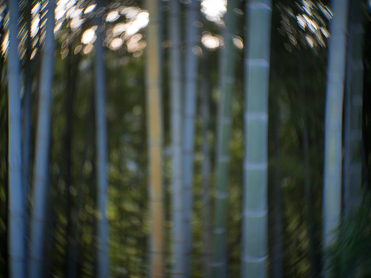 2016年1月2日, 神奈川県 愛甲郡 愛川町, ROSS.LONDON 1in F.1.9 CINE LENS.