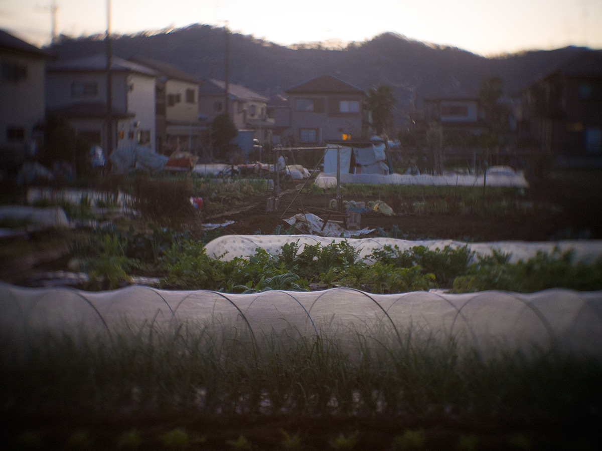 2016年1月2日, 神奈川県 愛甲郡 愛川町, ROSS.LONDON 1in F.1.9 CINE LENS.