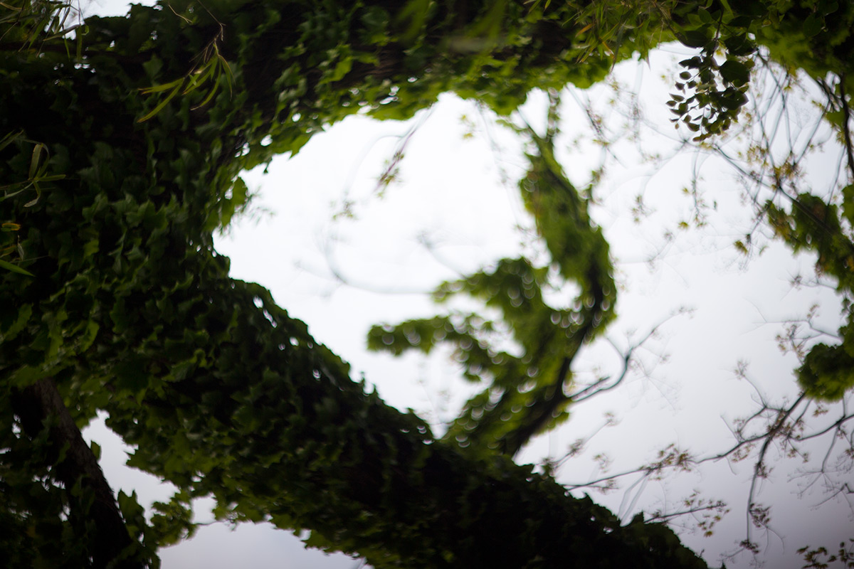 2016年5月1日、谷根千、Carl Zeiss Jena Biotar 1.5/75