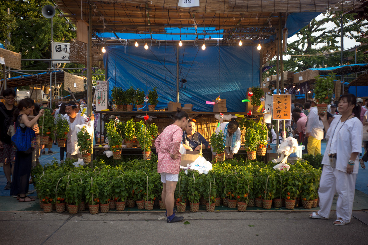 浅草寺 鬼灯市 w/ Steinheil Munchen Cassaron 1:3.5 f=40mm VL - 2016-7-10