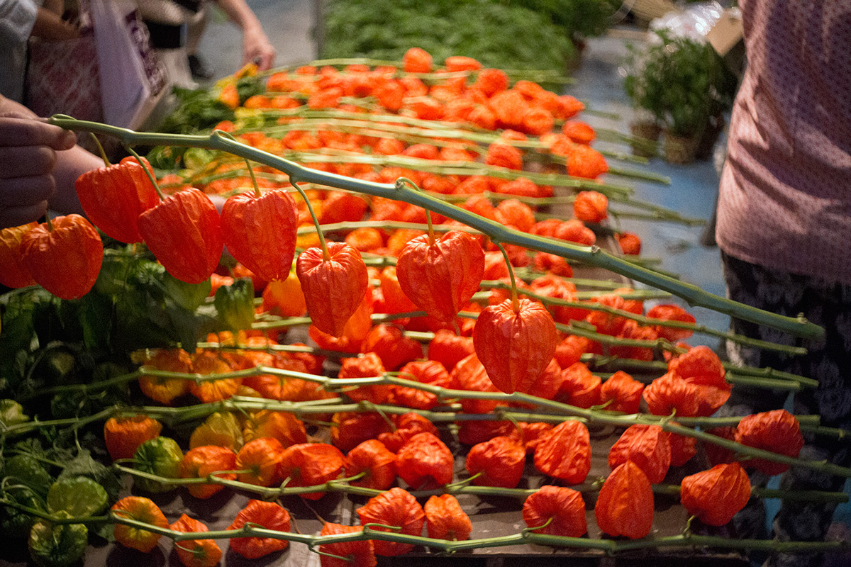 浅草寺 鬼灯市 w/ Steinheil Munchen Cassaron 1:3.5 f=40mm VL - 2016-7-10