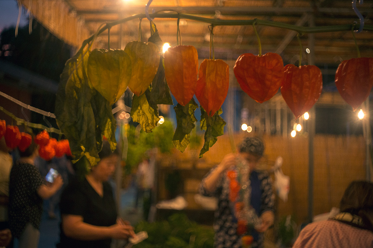 浅草寺 鬼灯市 w/ Steinheil Munchen Cassaron 1:3.5 f=40mm VL - 2016-7-10