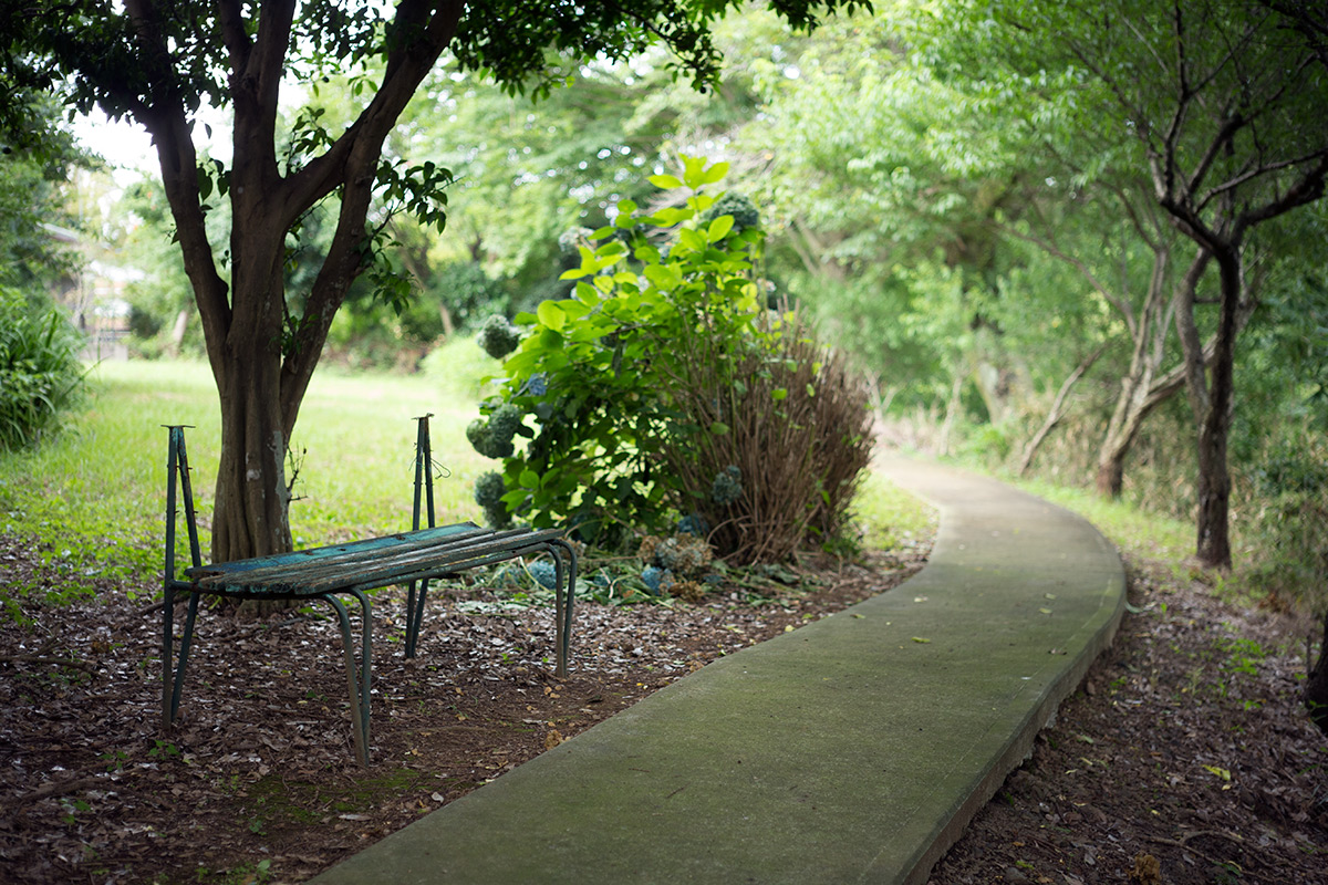 神奈川県 愛甲郡 愛川町 w/ VOIGTLANDER SEPTON 1:2/50 - 2016-7-19