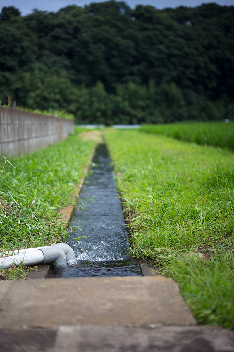 神奈川県 愛甲郡 愛川町 w/ VOIGTLANDER SEPTON 1:2/50 - 2016-7-19