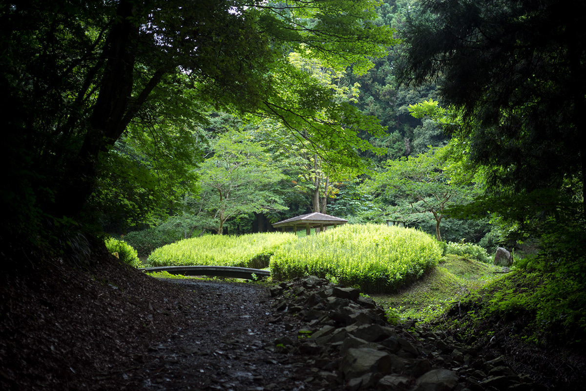 神奈川県 愛甲郡 愛川町 w/ VOIGTLANDER SEPTON 1:2/50 - 2016-7-19