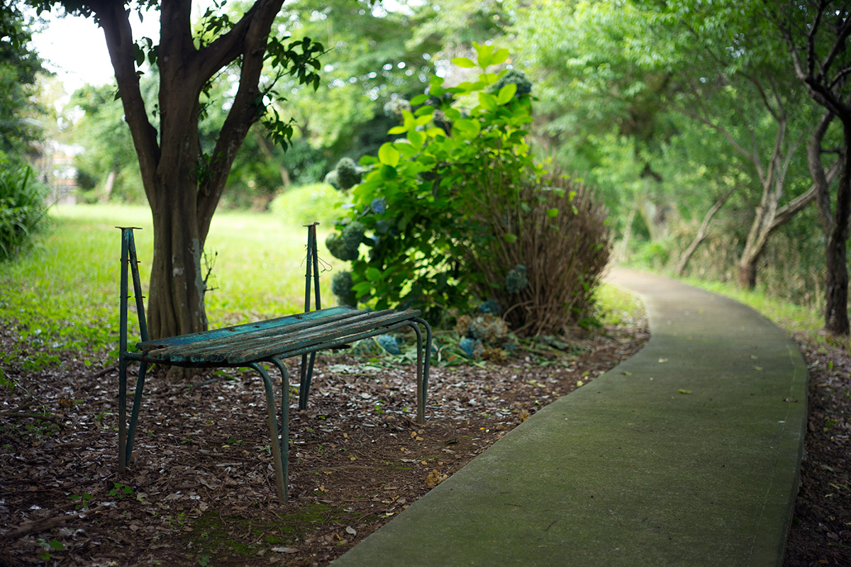 神奈川県 愛甲郡 愛川町 w/ VOIGTLANDER SEPTON 1:2/50 - 2016-7-19