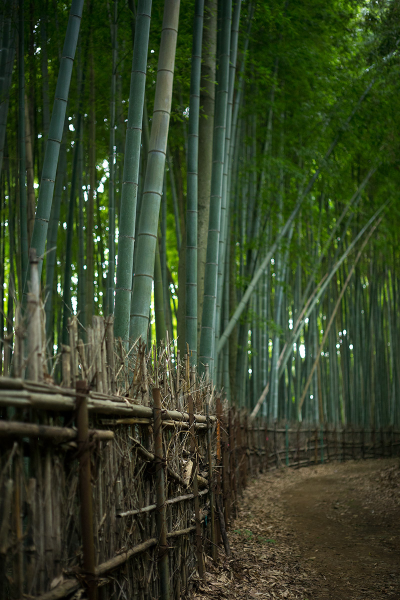 神奈川県 愛甲郡 愛川町 w/ VOIGTLANDER SEPTON 1:2/50 - 2016-7-19