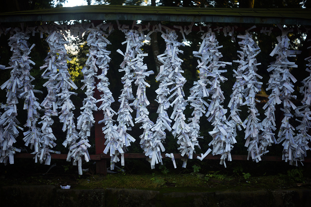箱根神社 w/ Angenieux Paris 50 1:2.9 TYPE Z7 - 2016-9-4