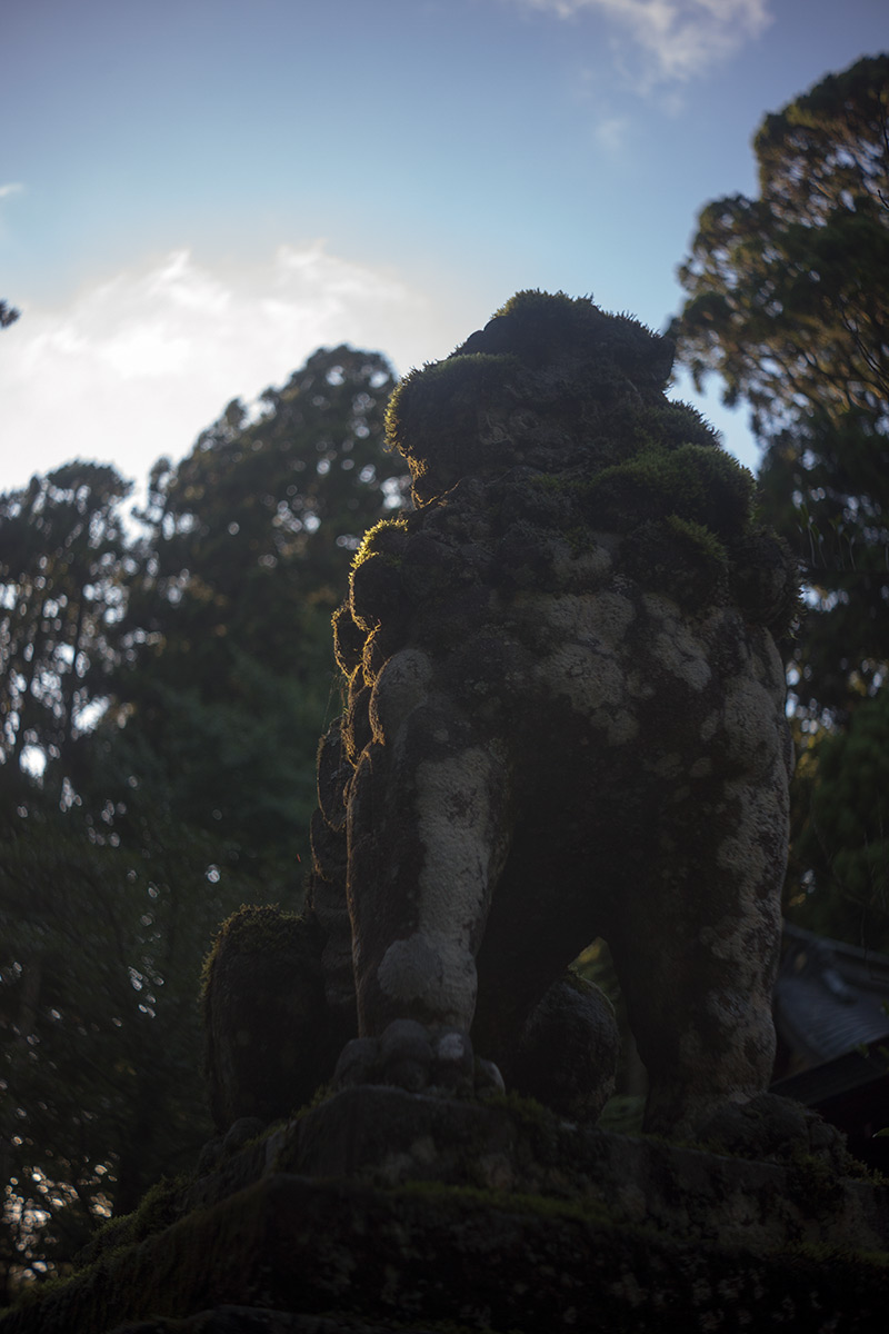 箱根神社 w/ Angenieux Paris 50 1:2.9 TYPE Z7 - 2016-9-4