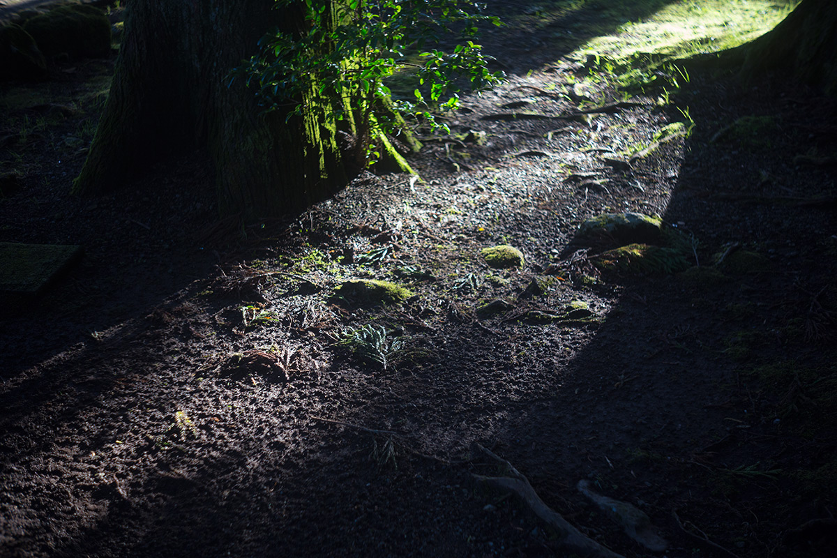 箱根神社 w/ Angenieux Paris 50 1:2.9 TYPE Z7 - 2016-9-4
