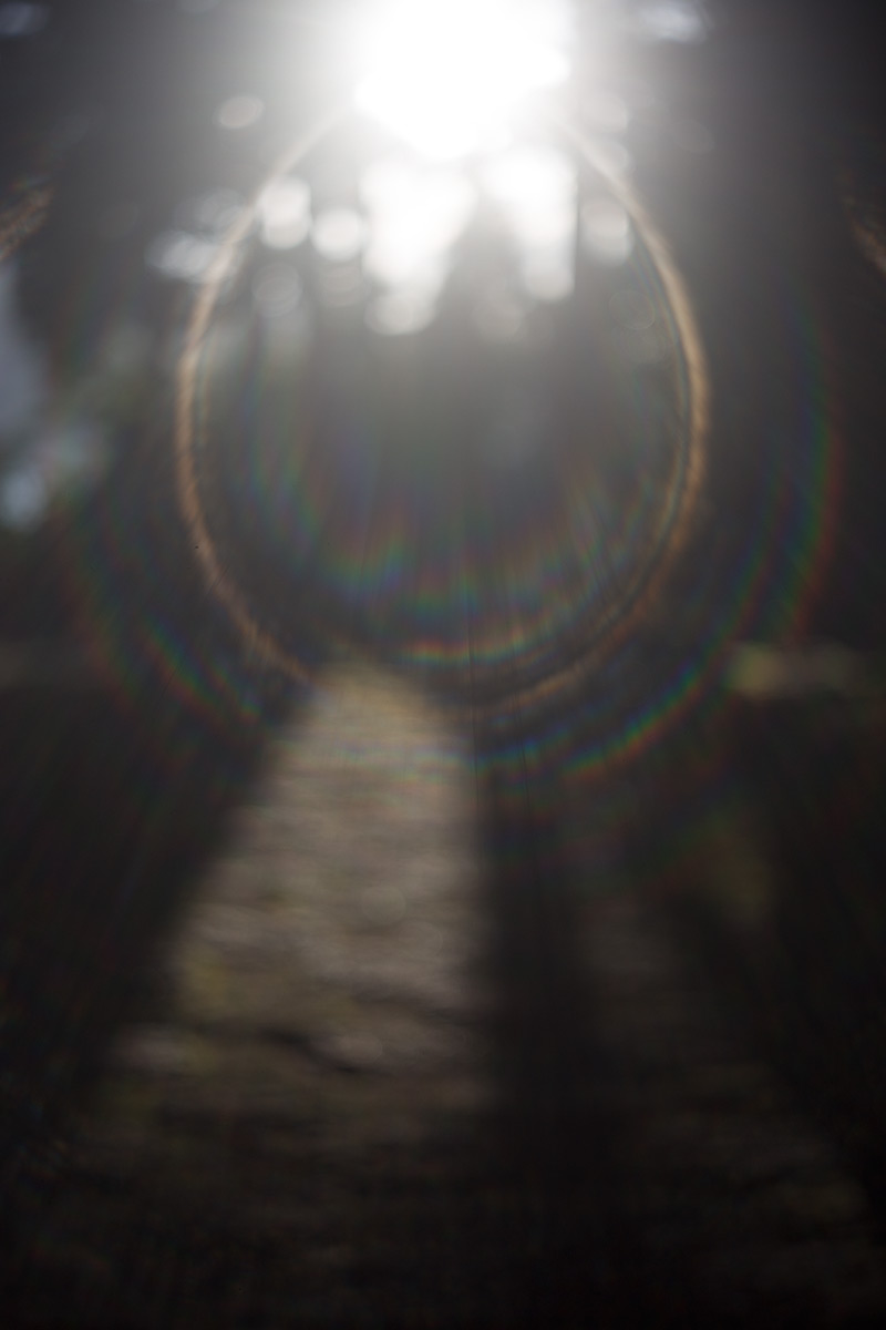 箱根神社 w/ Angenieux Paris 50 1:2.9 TYPE Z7 - 2016-9-4