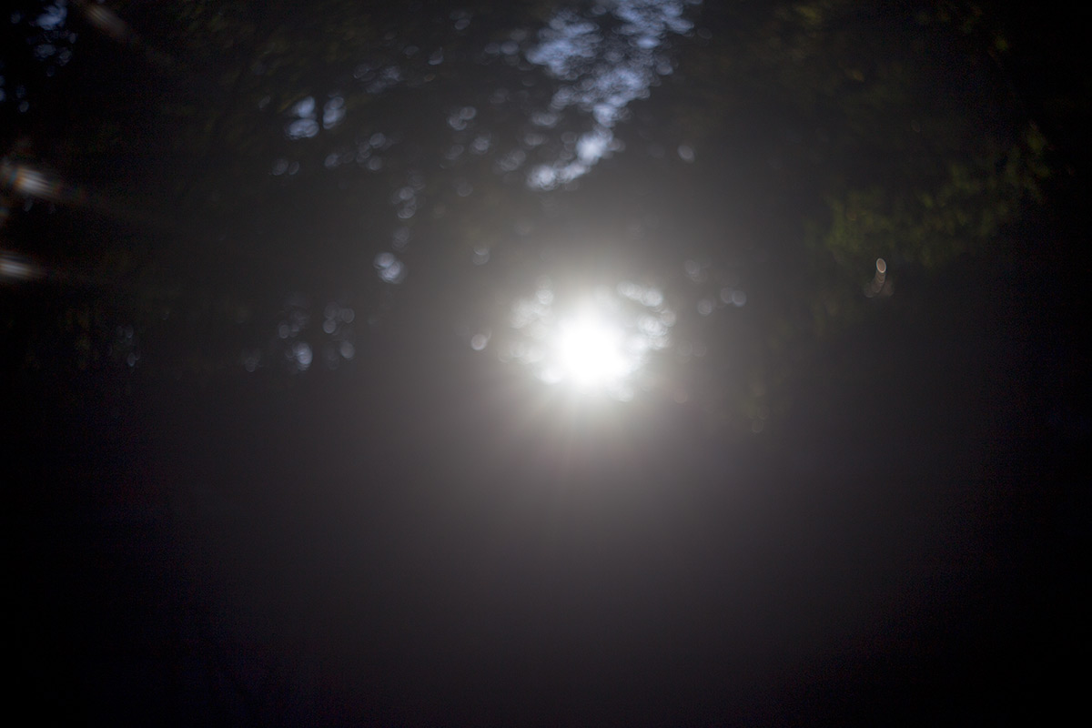 箱根神社 w/ Angenieux Paris 50 1:2.9 TYPE Z7 - 2016-9-4