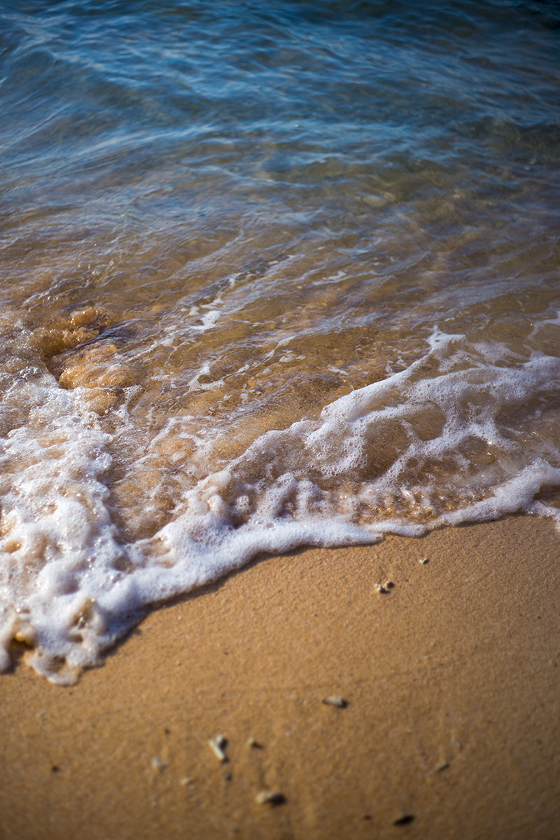 沖縄本島 w/ Angenieux 28/3.5 &amp; Carl Zeiss Ultron 1.8/50 - 2016-10-3