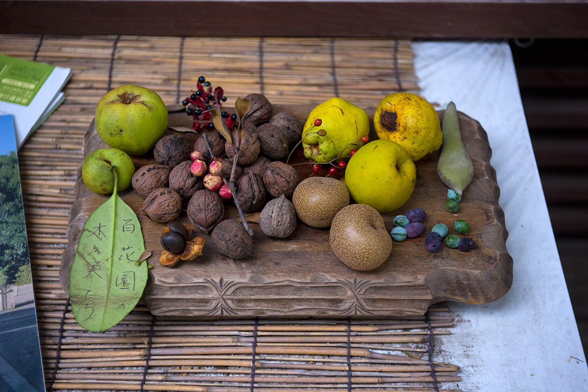 向島百草園 w/ BOYER PARIS SAPHIR «B» 1:3.5 f=50 - 2016-10-23