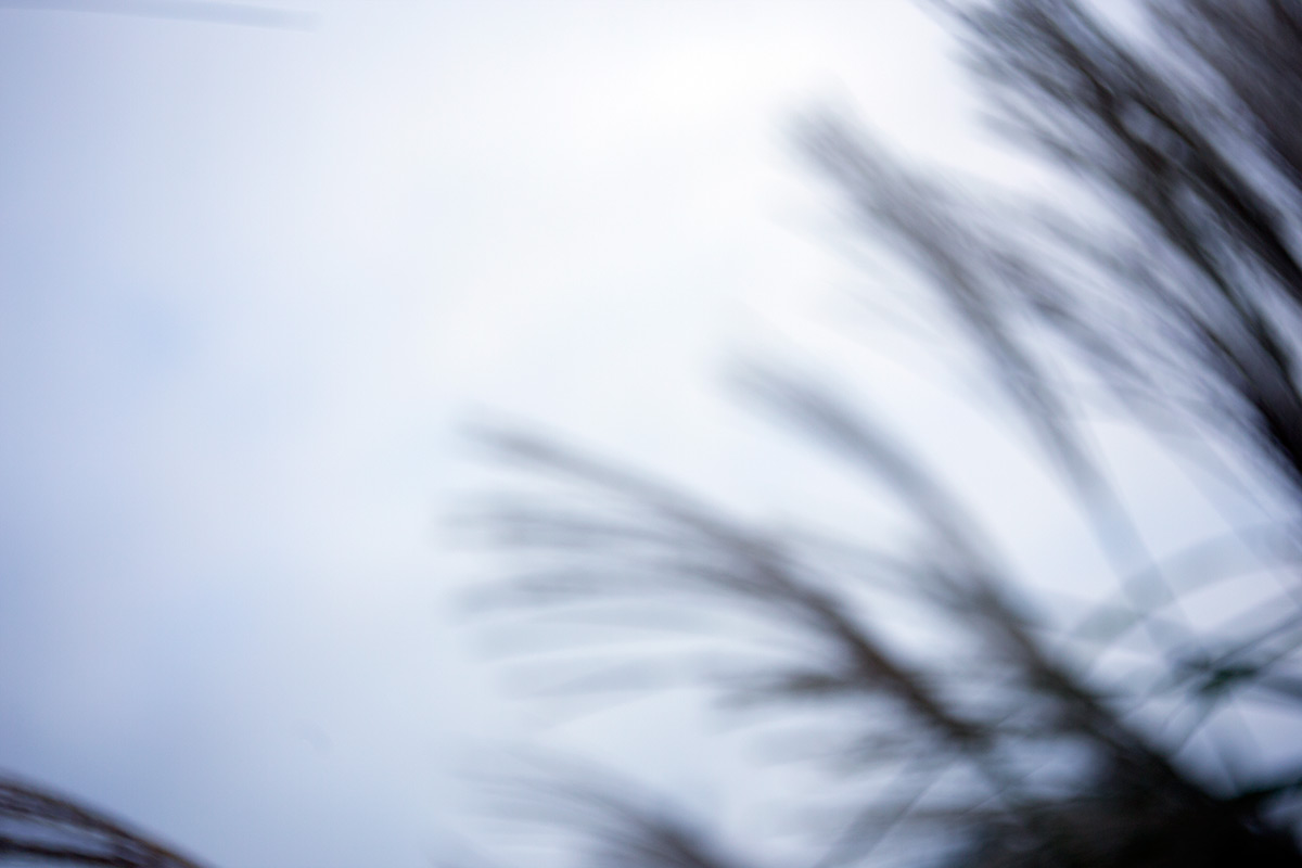 向島百草園 w/ BOYER PARIS SAPHIR «B» 1:3.5 f=50 - 2016年10月23日撮影