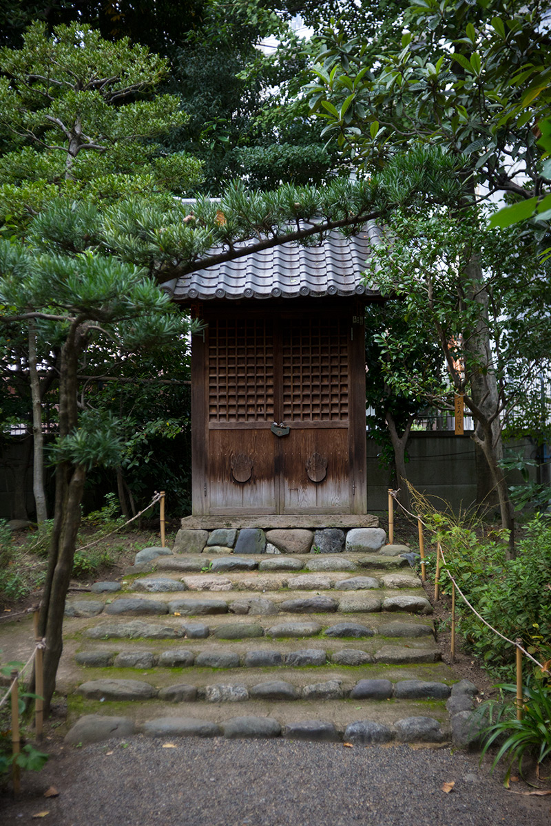 向島百草園 w/ BOYER PARIS SAPHIR «B» 1:3.5 f=50 - 2016年10月23日撮影