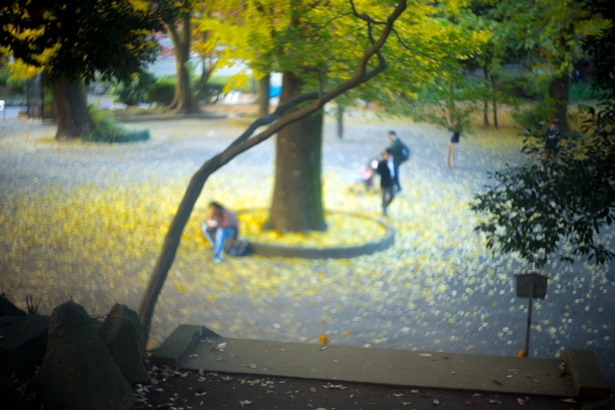 上野恩賜公園 w/ P.ANGENIEUX PARIS F.50 1.8 TYPE S1 - 2016年12月4日撮影